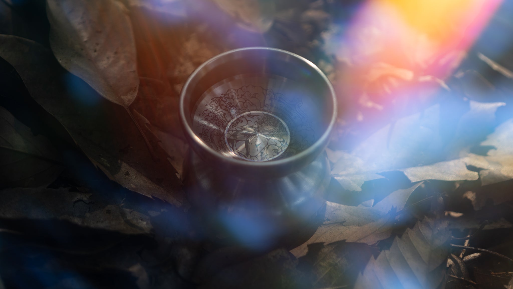 【新作モデル】Heterogeneity Ti