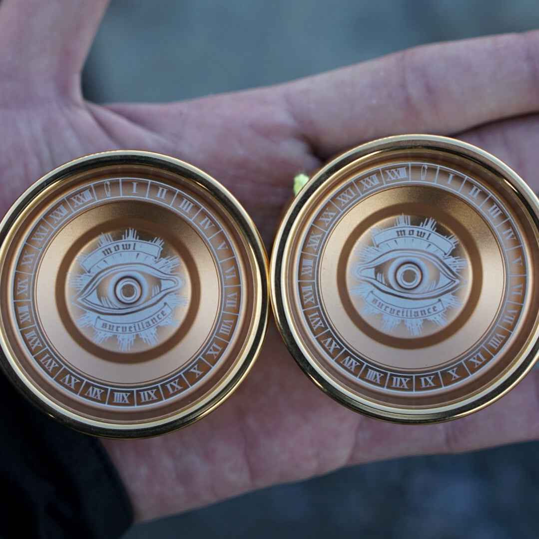 2/9(金)発売のサーベイランスについて