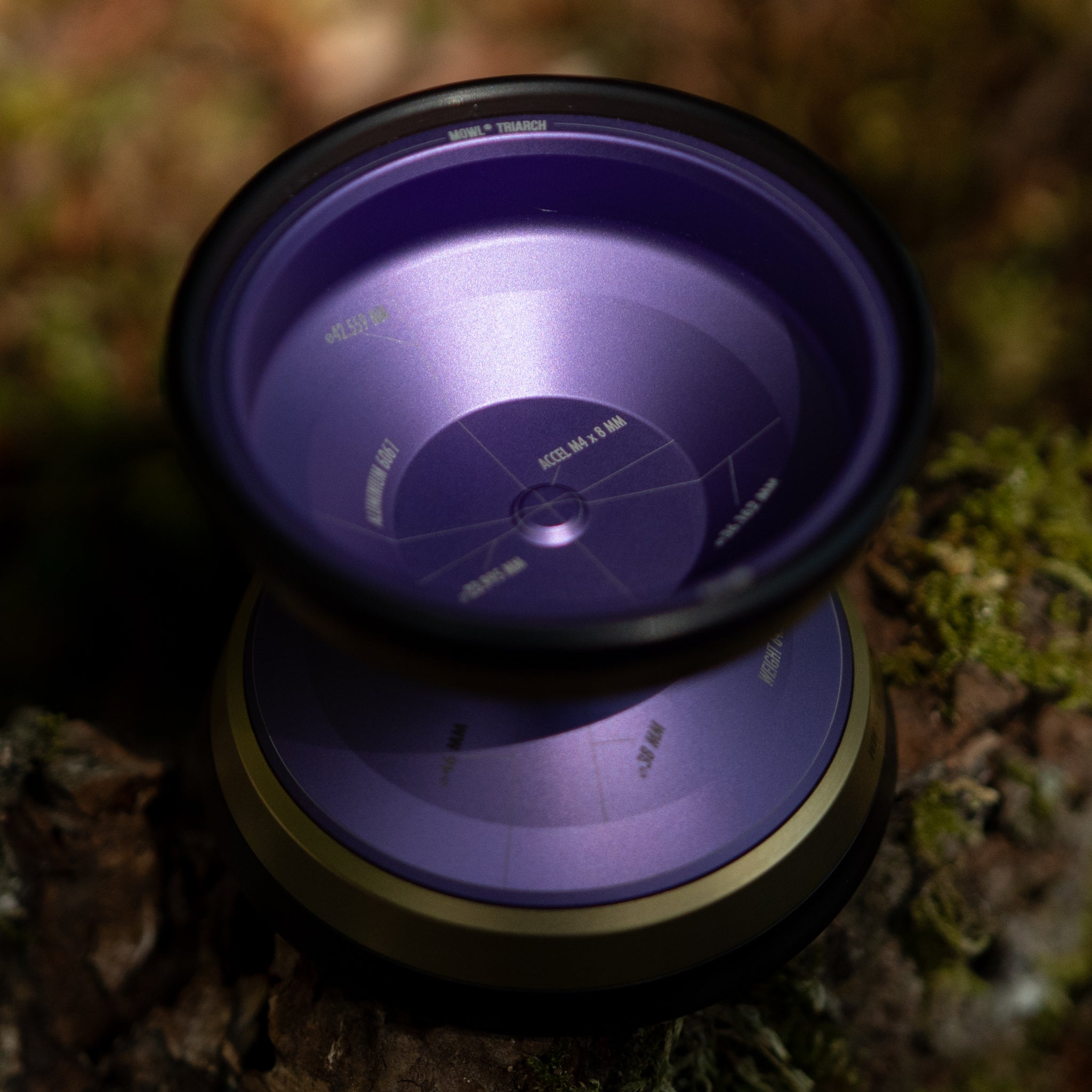 Triarch: Blasted Purple / Gold Rim / Black Wing
