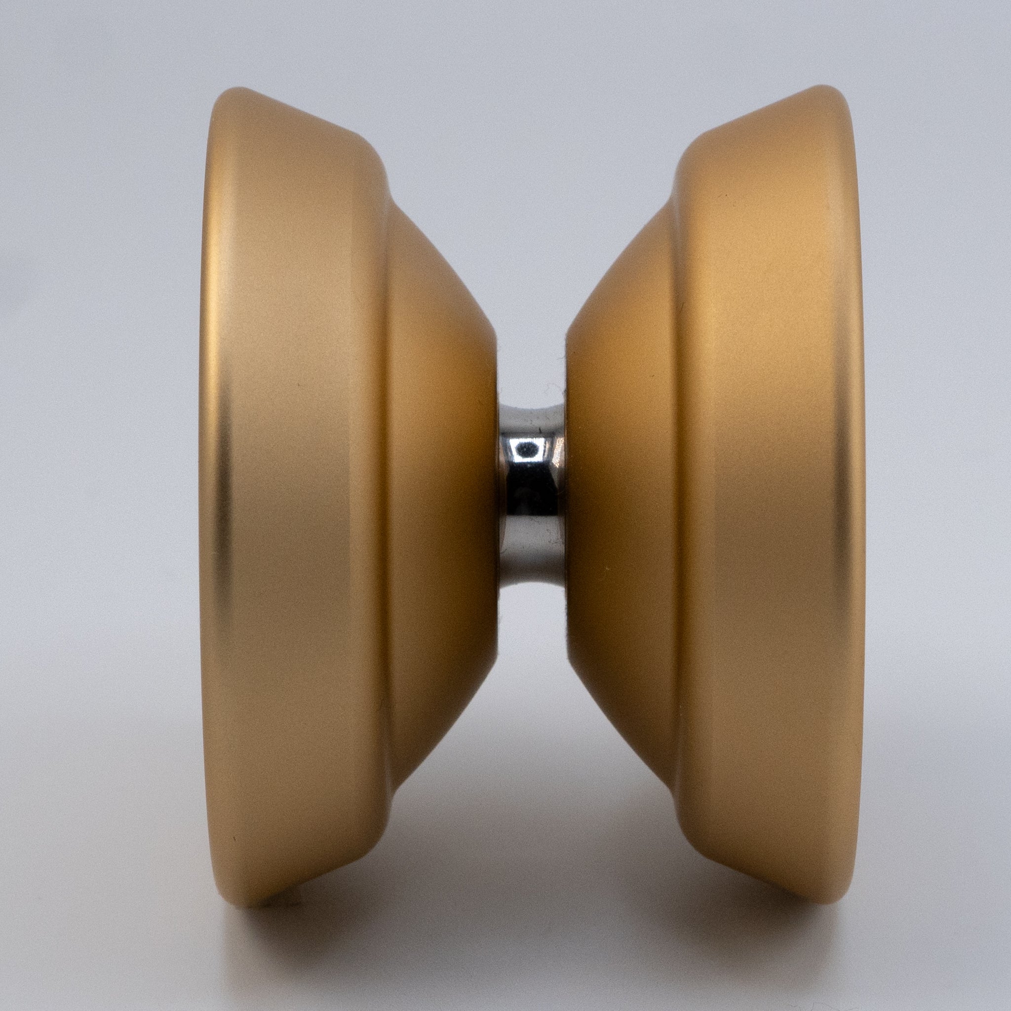 M Owl Logo / Gold