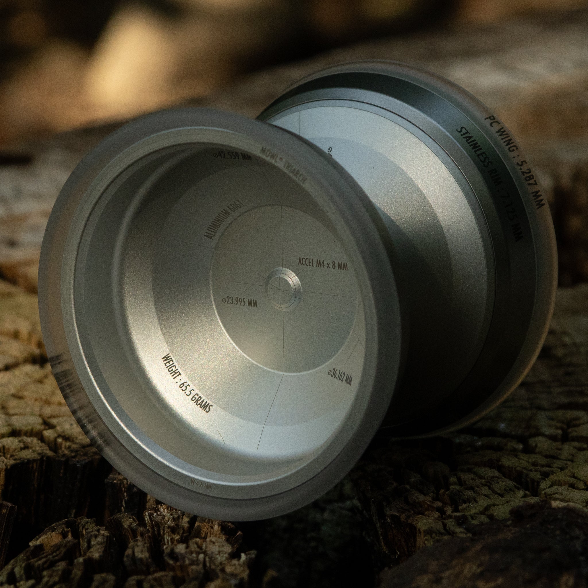 Triarch: Blasted Silver / Silver Rim / Clear Wing