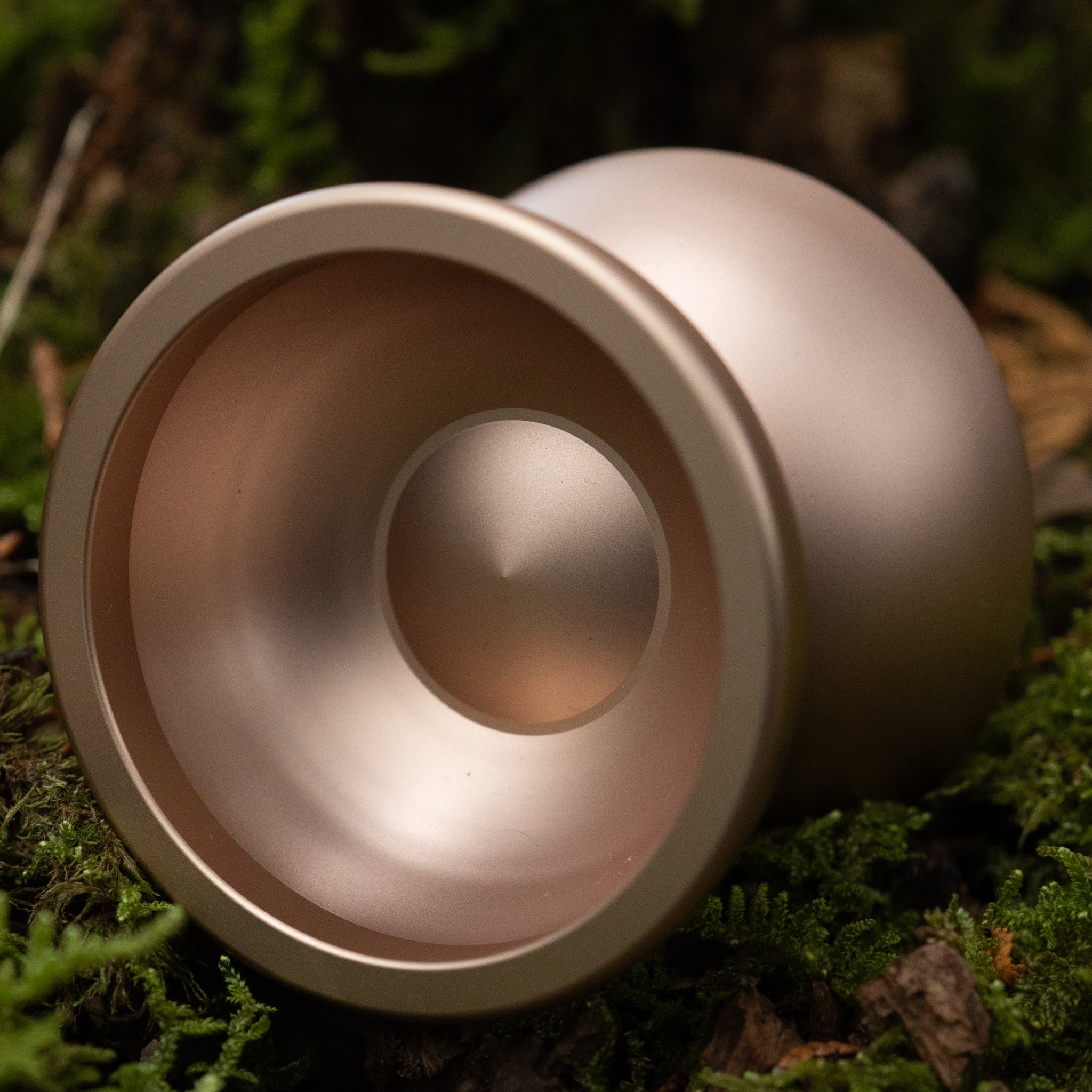 【2月21日(土) 20時頃 発売開始】 Q / Dawn Gold