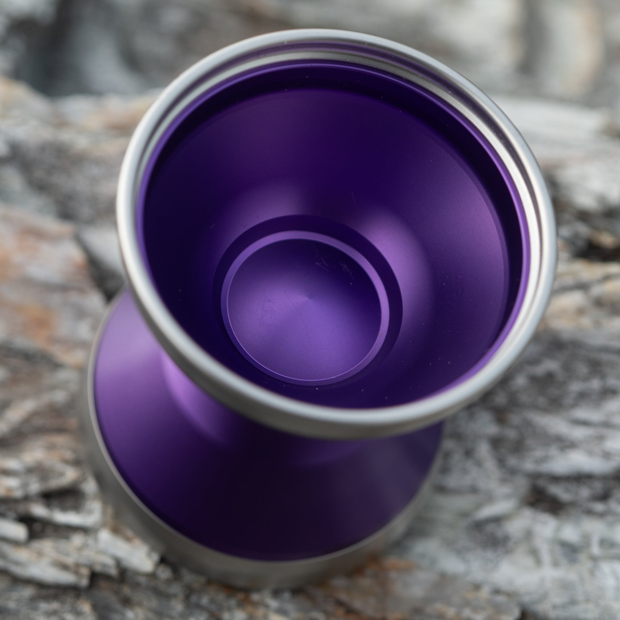Tentacle: Eclipse Violet / Blasted Silver Rim