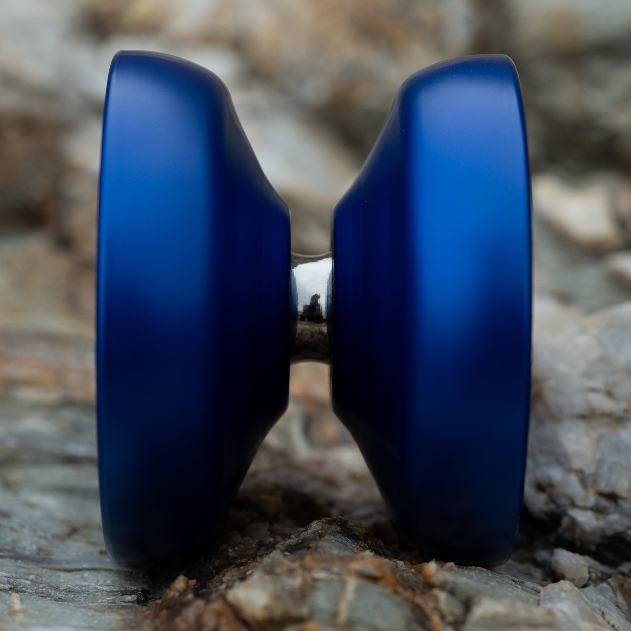 Heterogeneity | Double Royal Blue