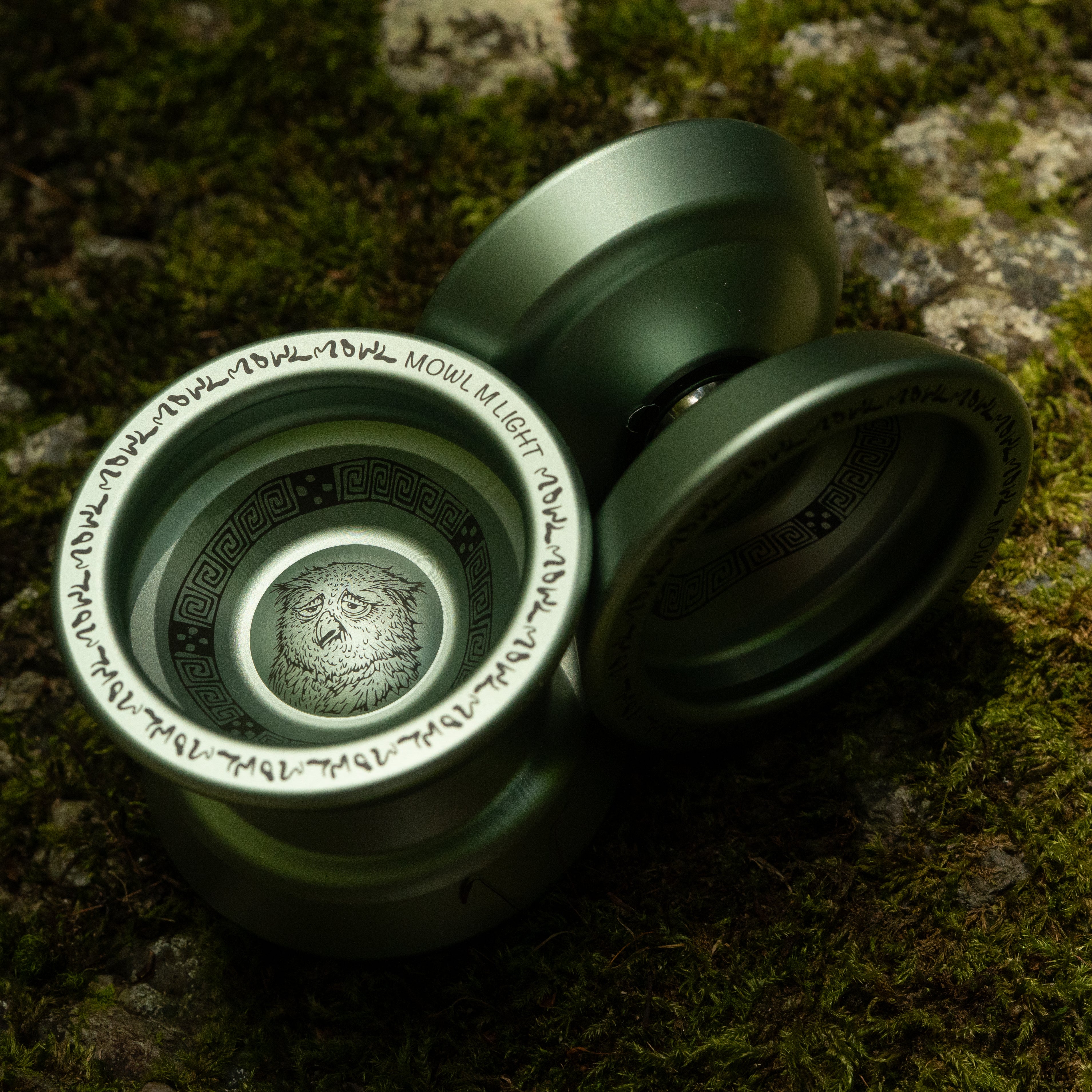 M Light / T-Blue | mowl Online Store