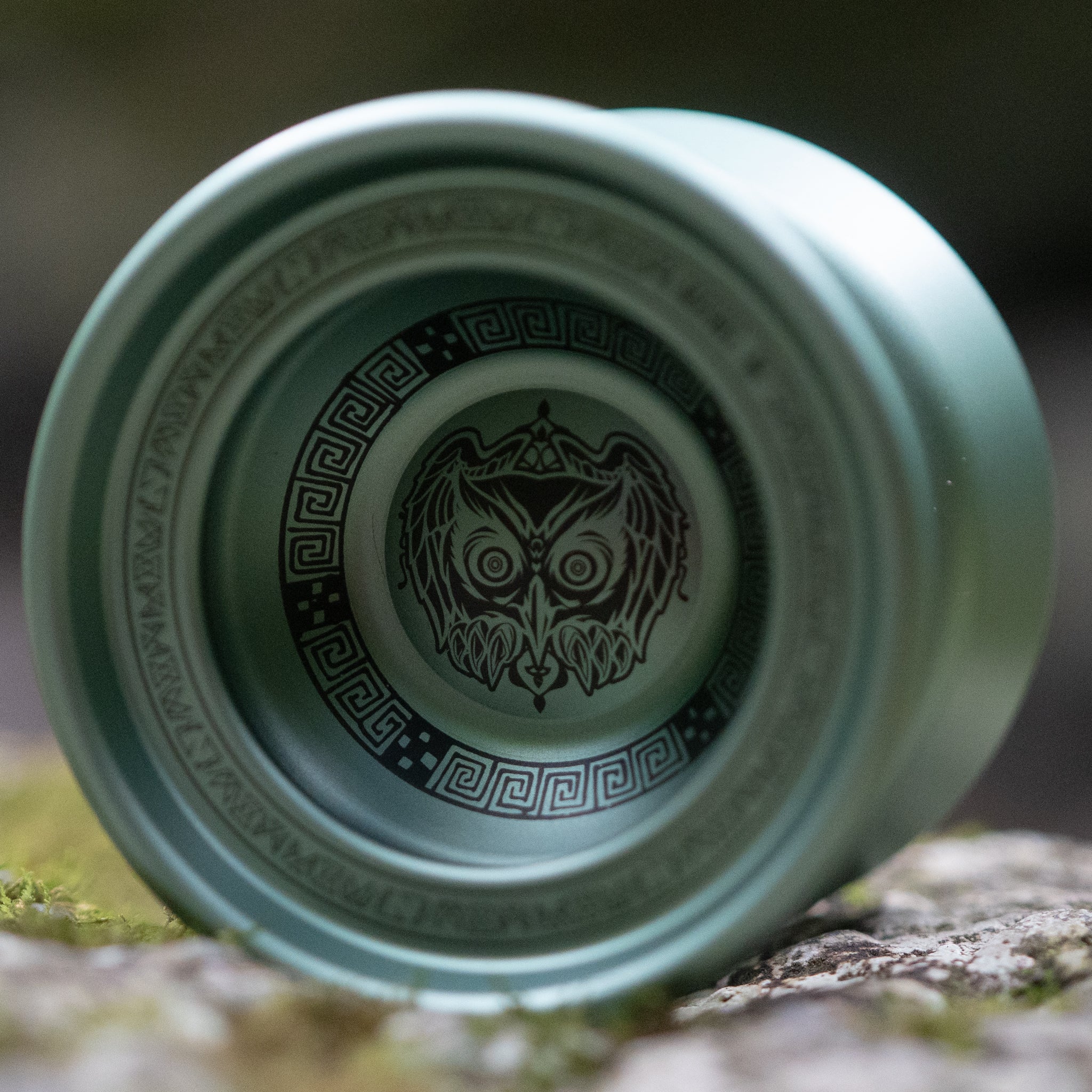M Owl Logo / T-Blue