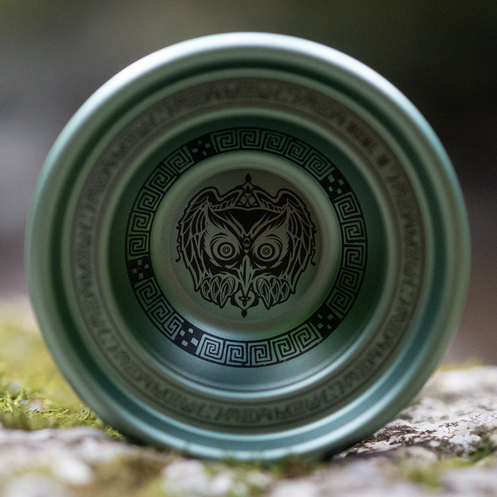 M Owl Logo / T-Blue