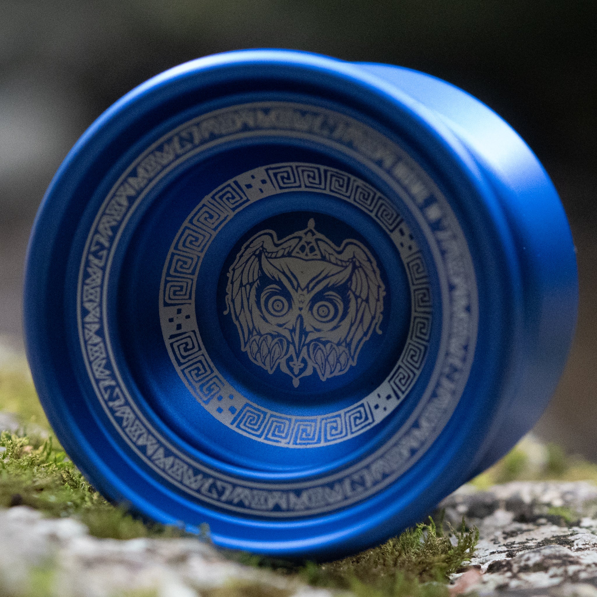 M Owl Logo / Royal Blue