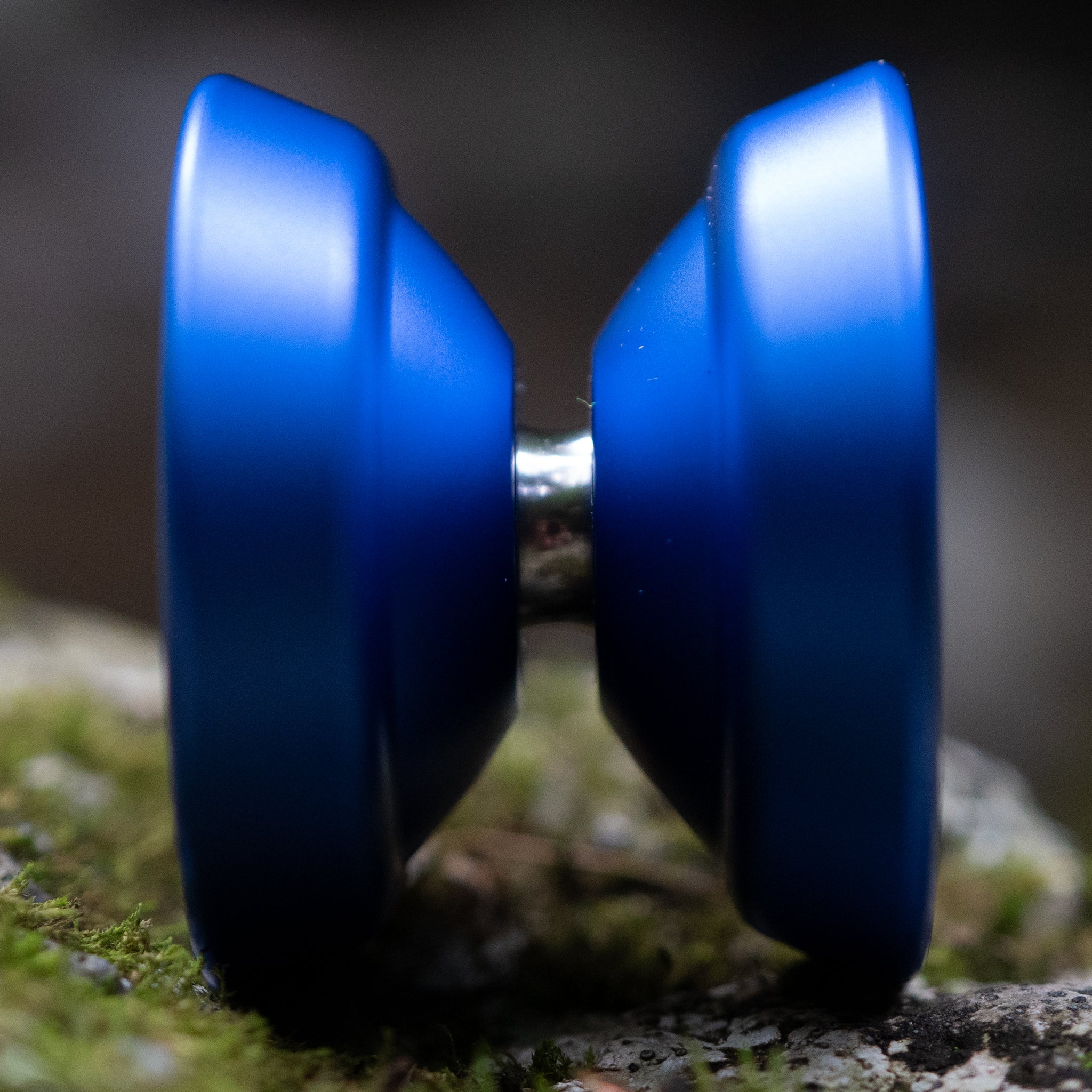 M Owl Logo / Royal Blue