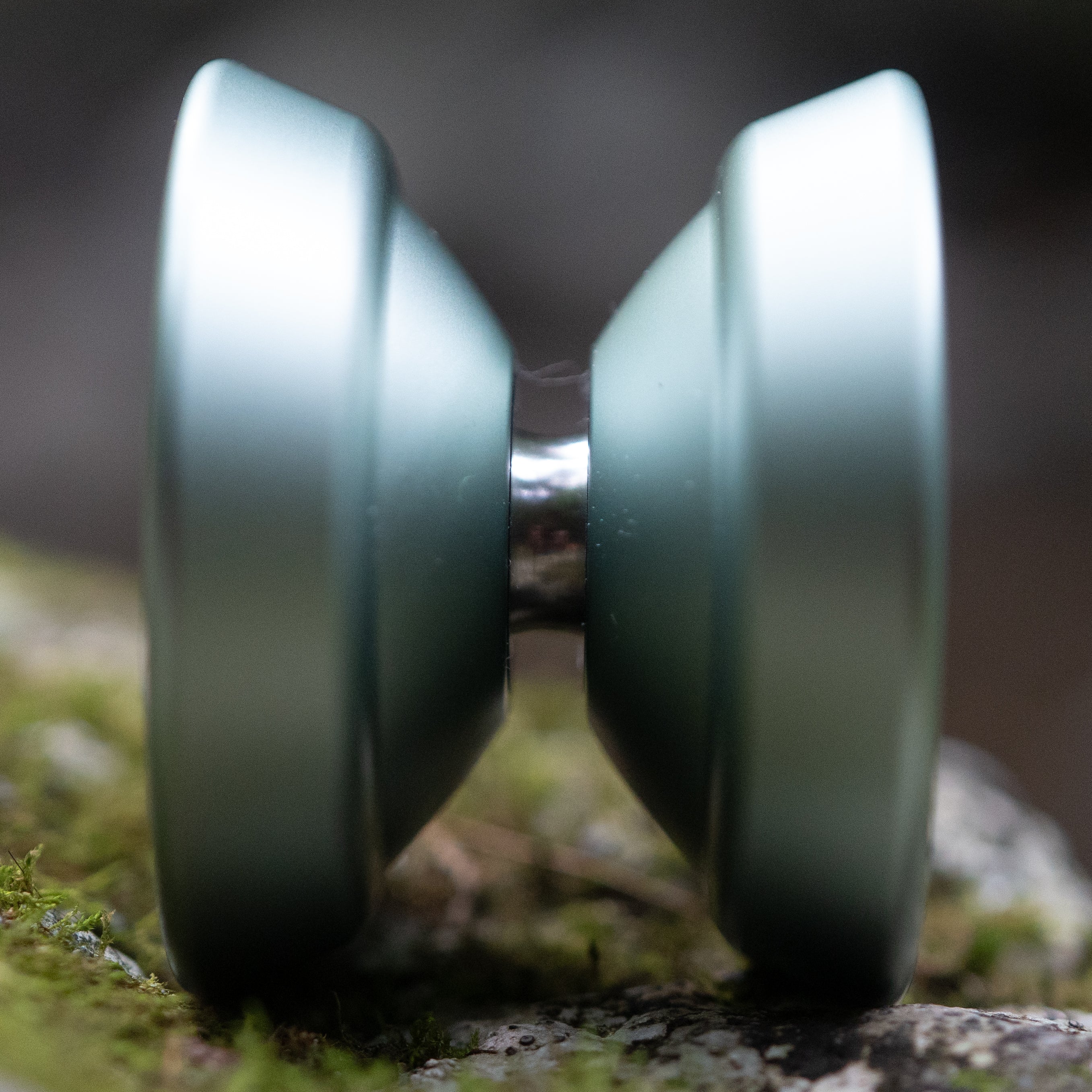 M Light / T-Blue