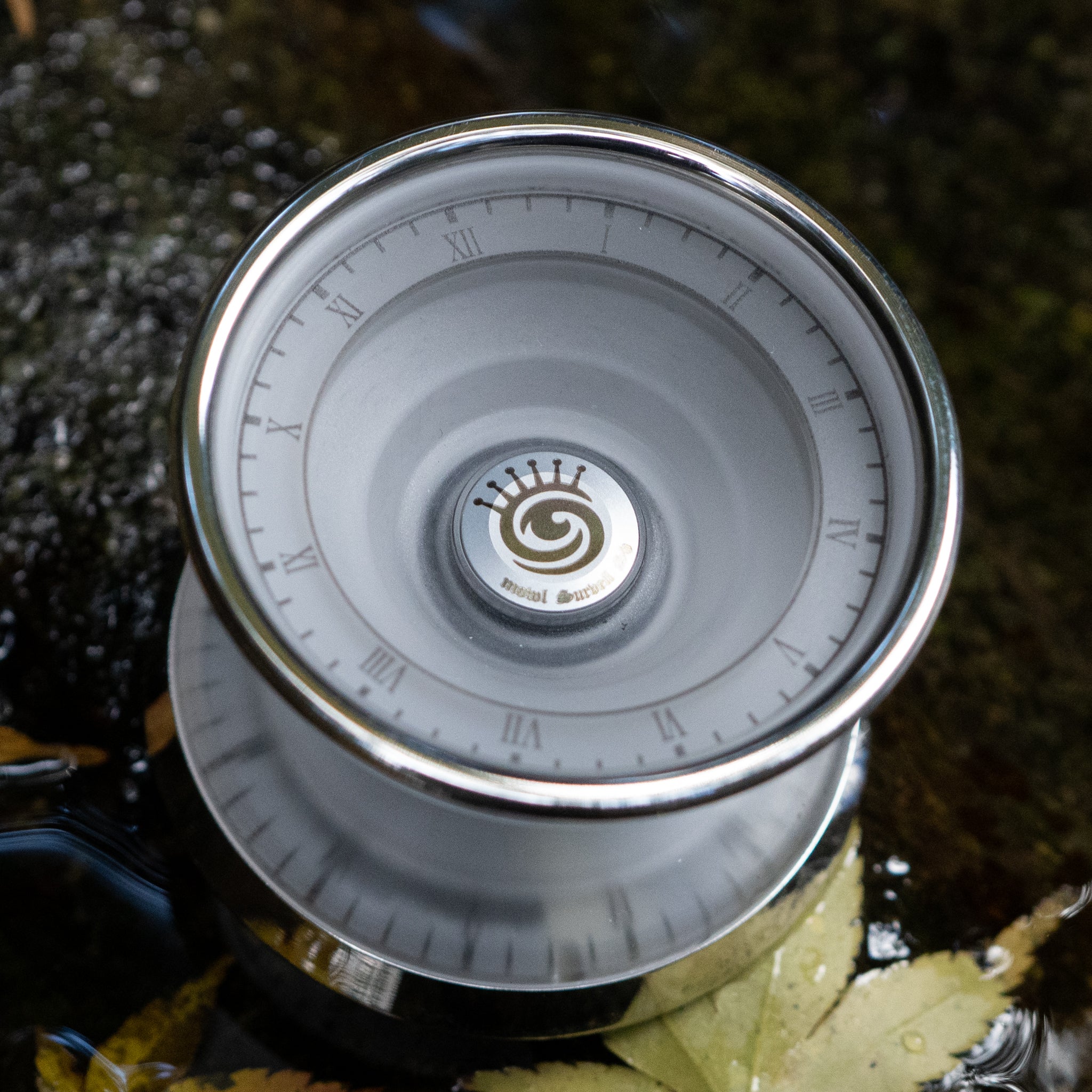 Surveil SH / Clear / Polished Silver Rim