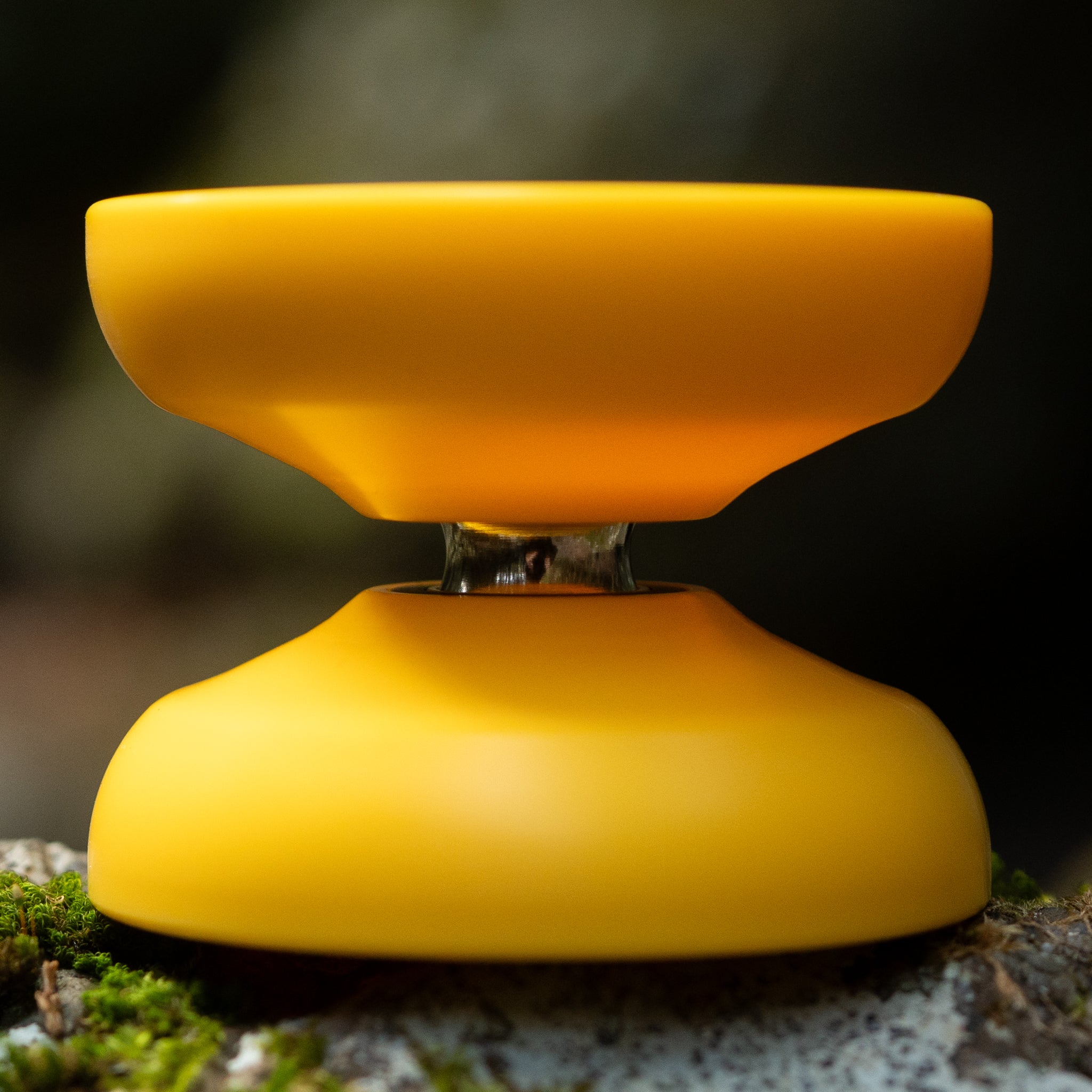 "Heteron" Regular Logo / Kenta Edition