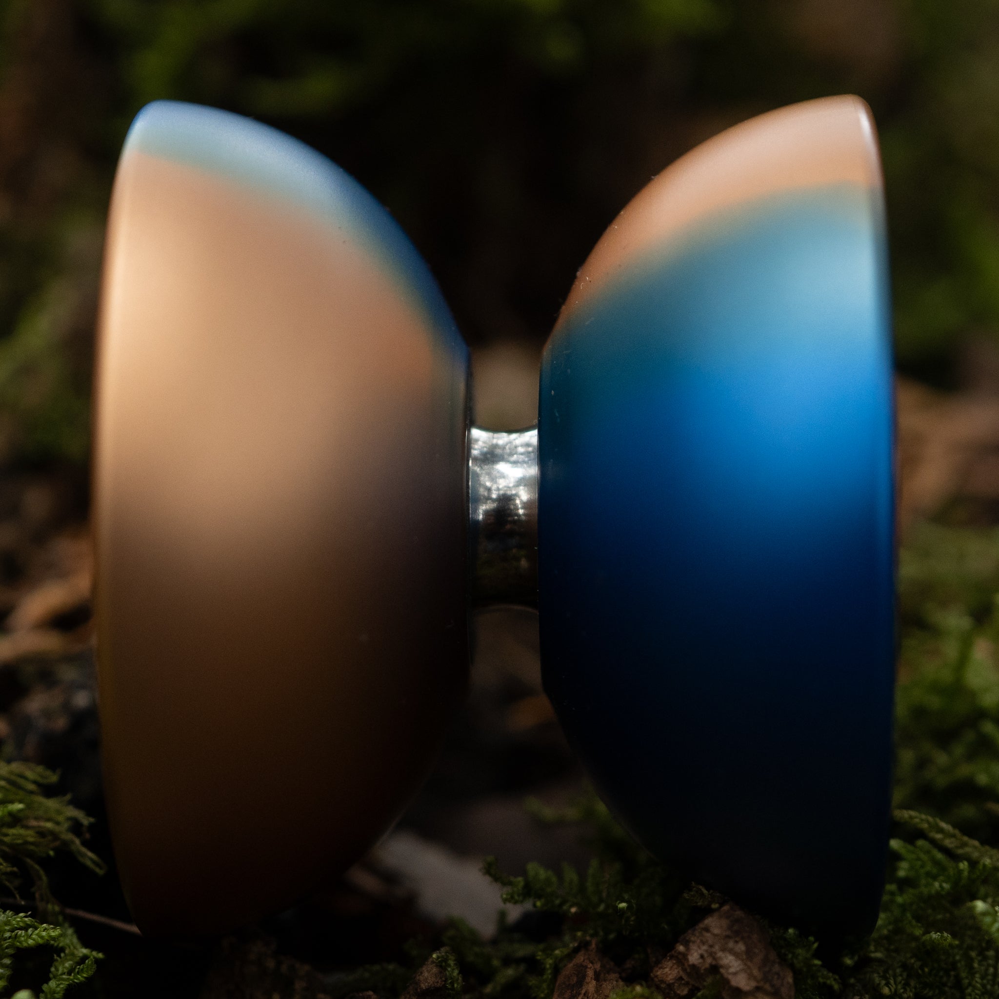 Q / Spectral Prism Fade | mowl Online Store