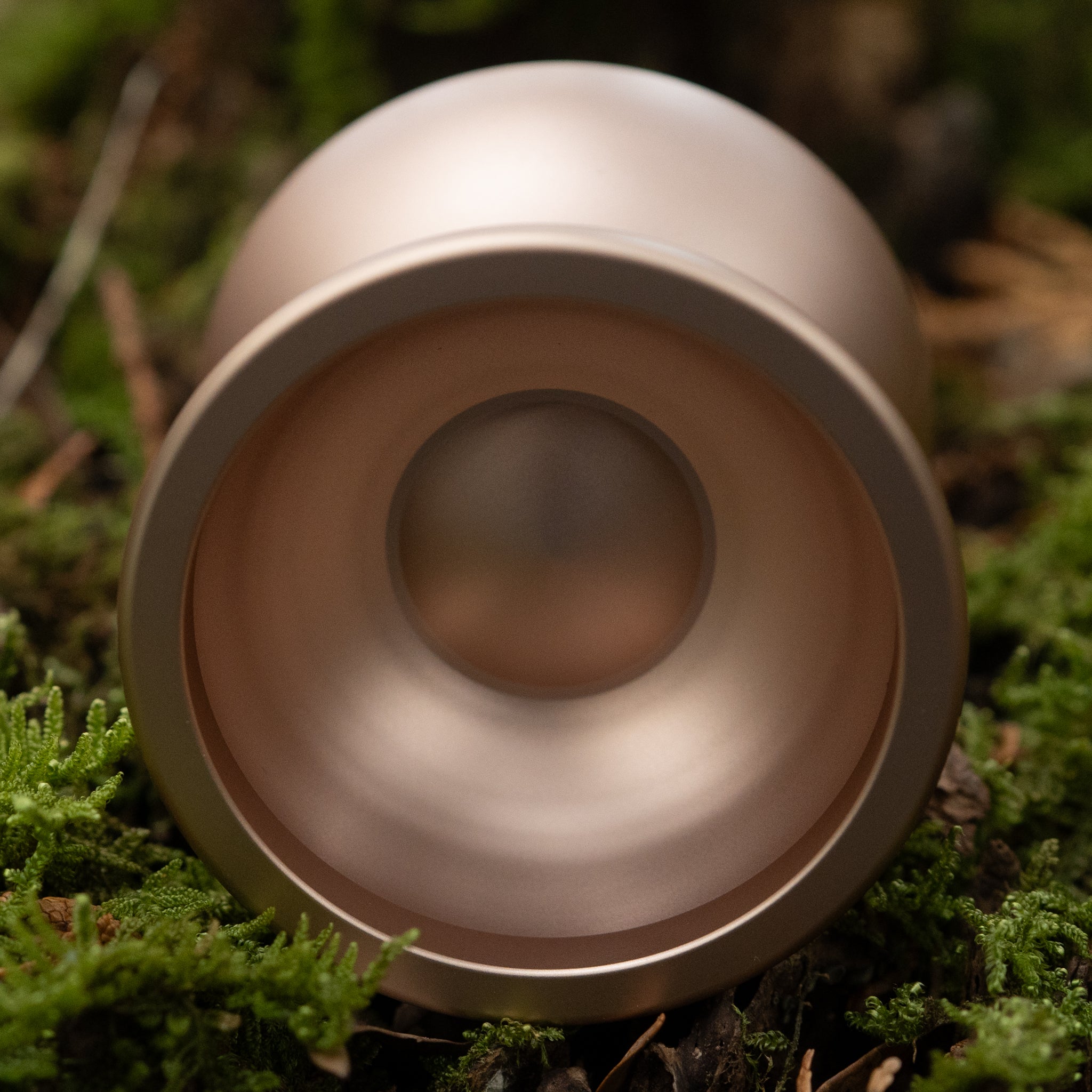 【2月21日(土) 20時頃 発売開始】 Q / Dawn Gold