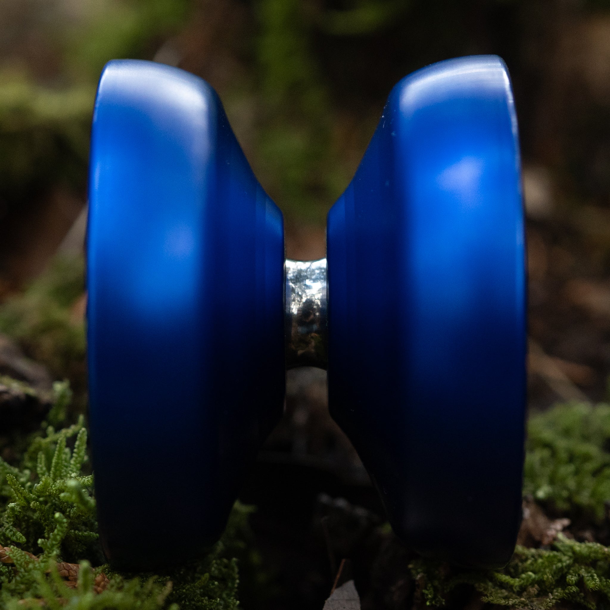 Heterogeneity / Royal Blue | mowl Online Store