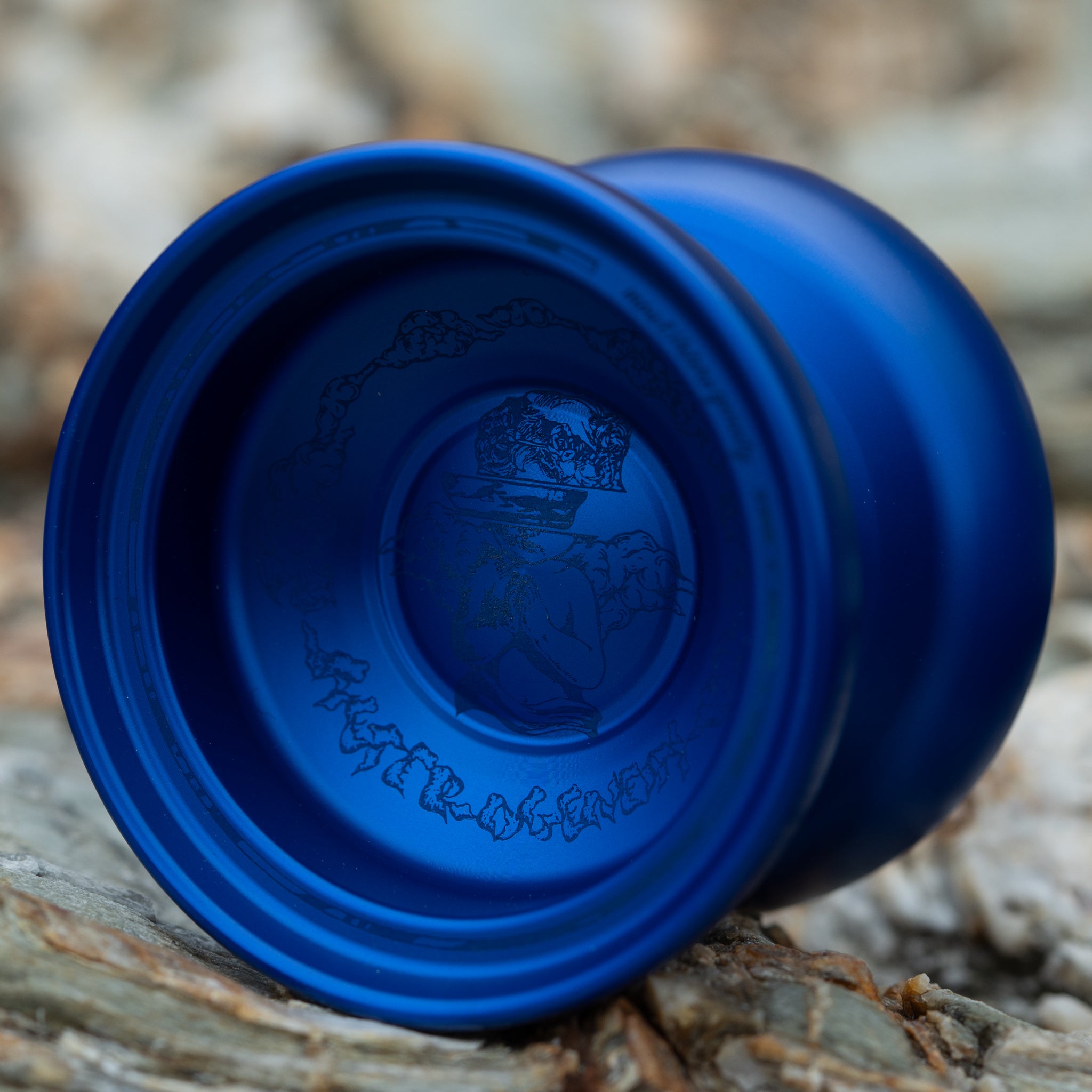Heterogeneity | Double Royal Blue