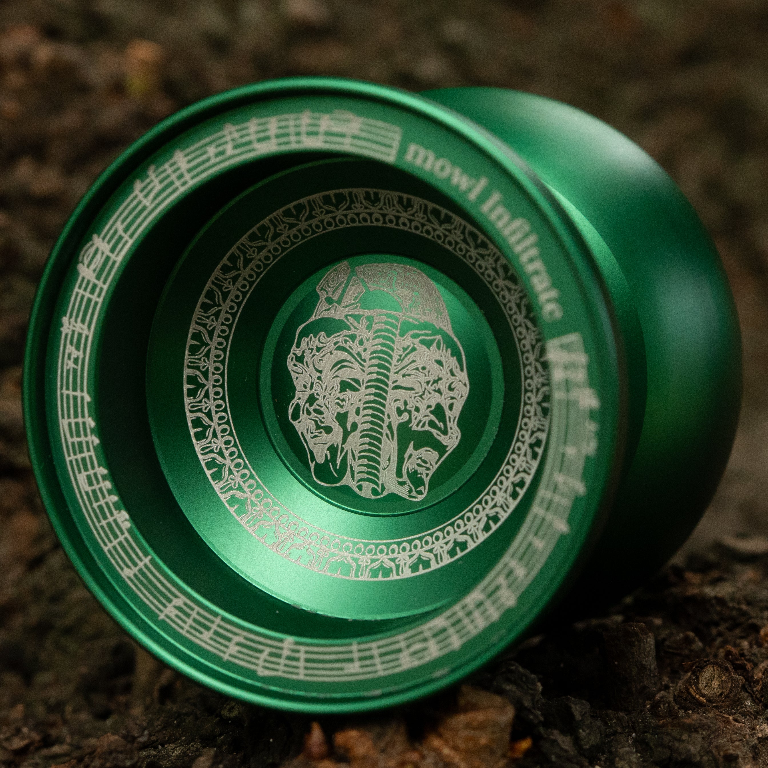 New Release | mowl Online Store