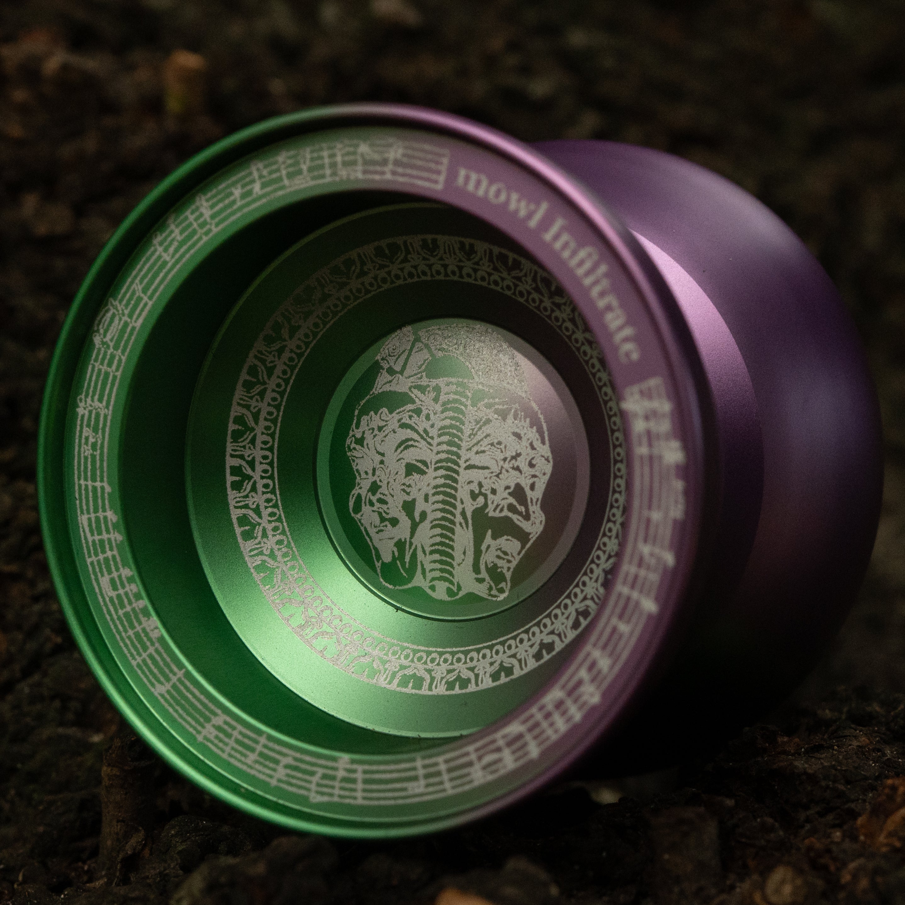 New Release | mowl Online Store