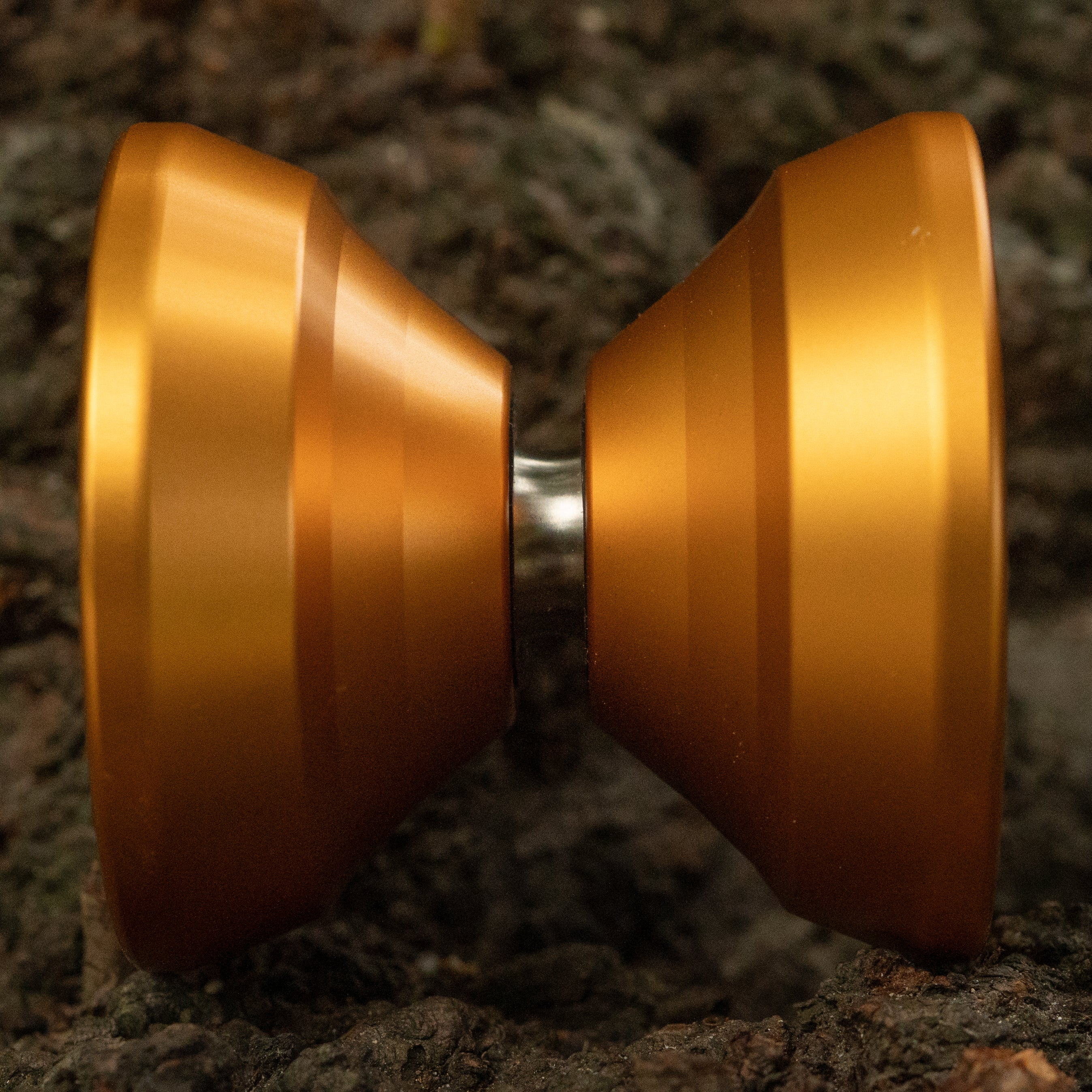 M Wide / Gold