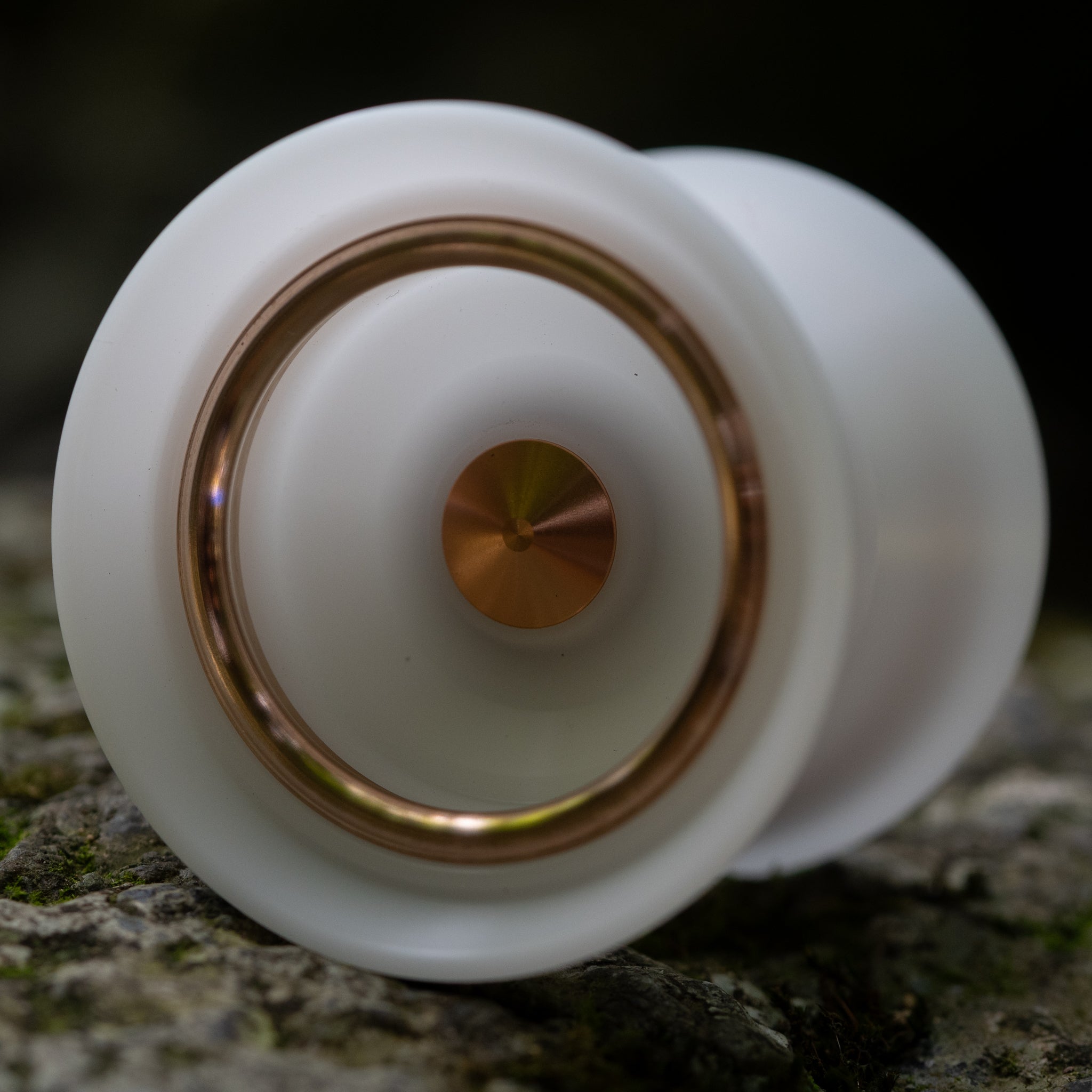 Short King: White / Champagne Gold