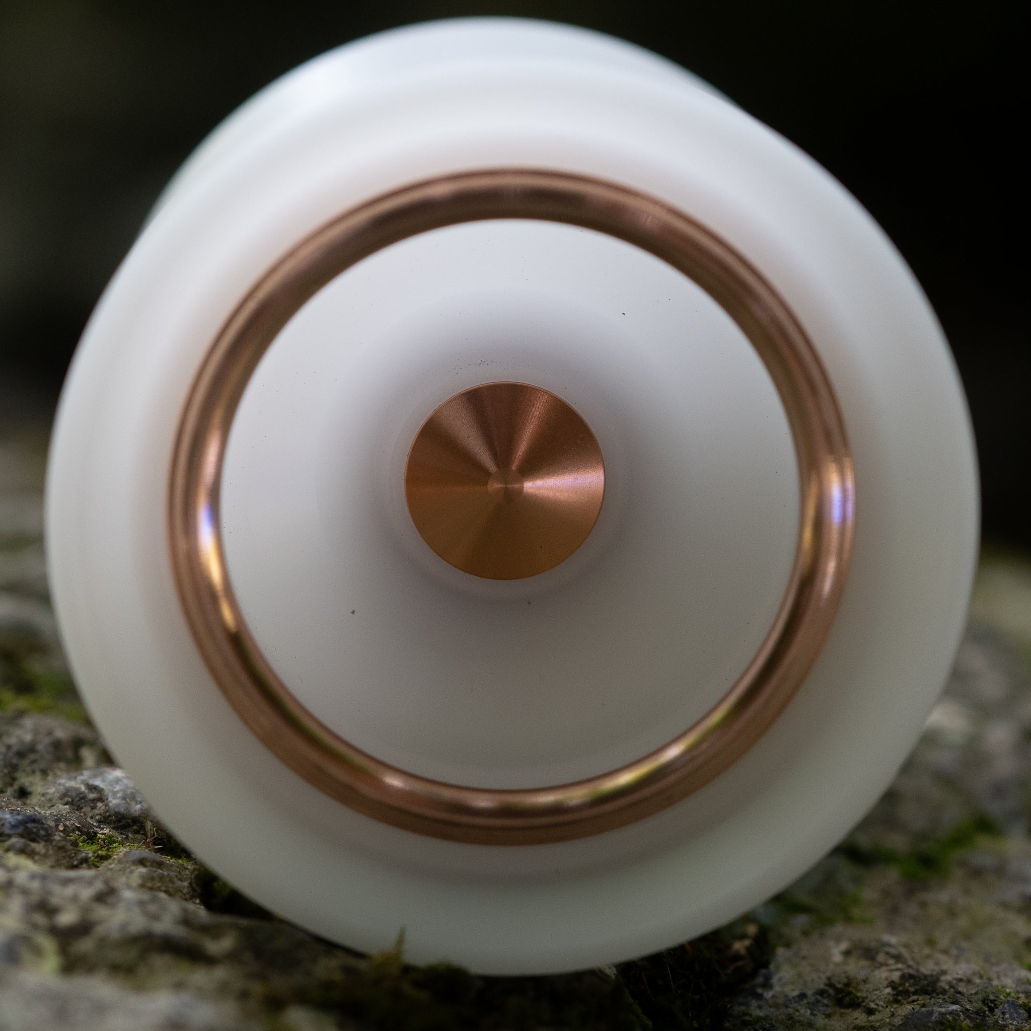 Short King: White / Champagne Gold