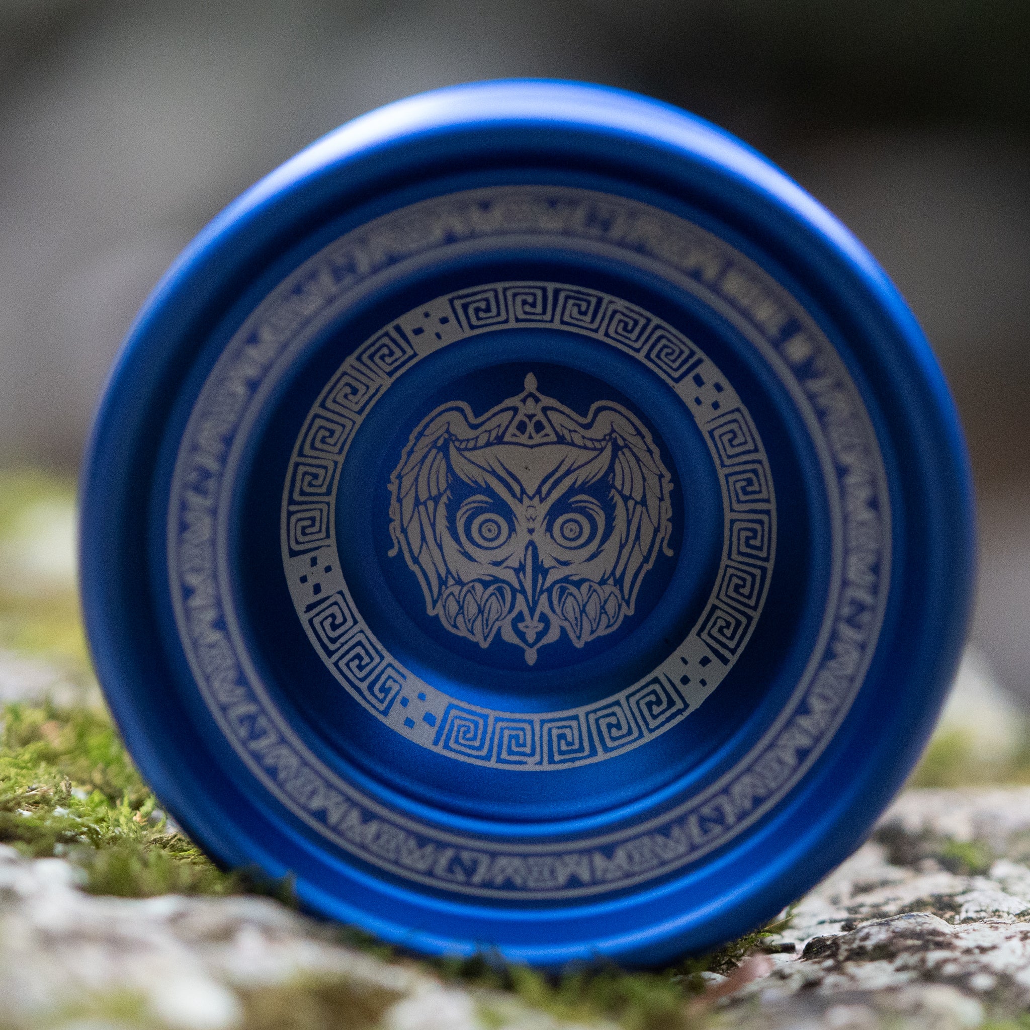 M Owl Logo / Royal Blue
