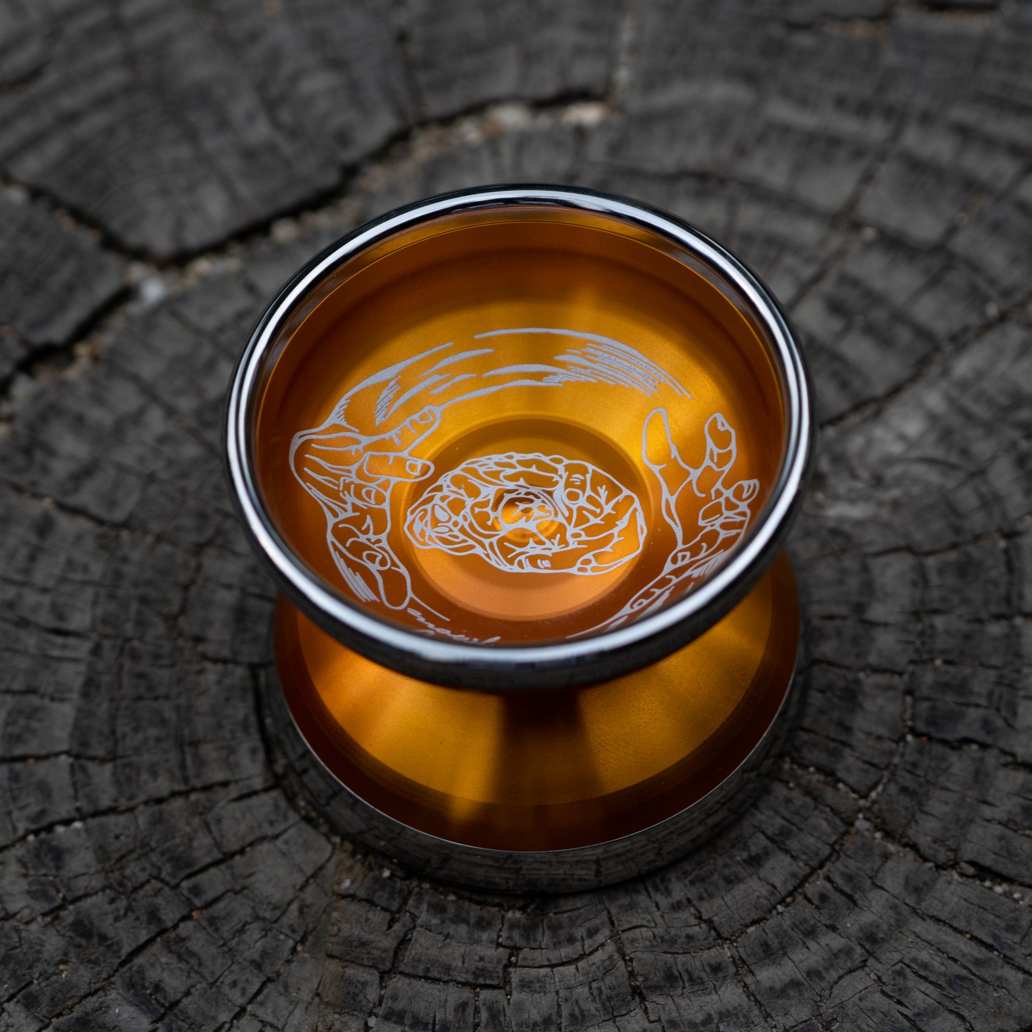 Obsession + Orange Fade / Polished Silver Rim